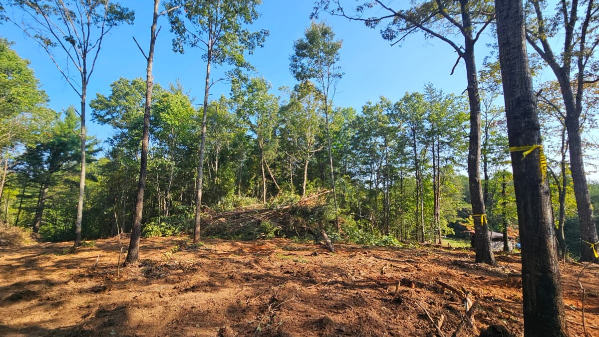 Cleared building envelope with survey flagging on the wooded ridge