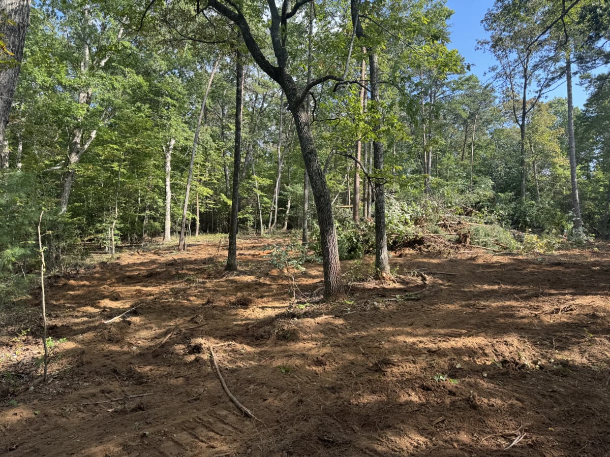 Graded site pad cleared among the hardwoods during Phase 1 work